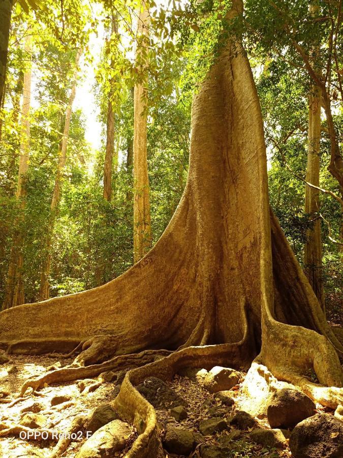 Forest Breath Eco-Lodge Cat Tien Exterior foto